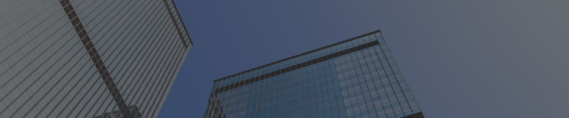 Company Profile