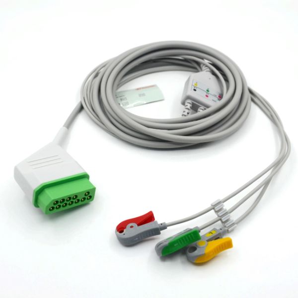 3 Leads