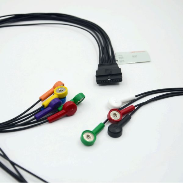 10 Leads